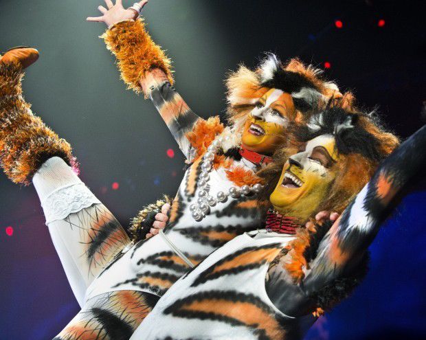 2013: 'CATS'